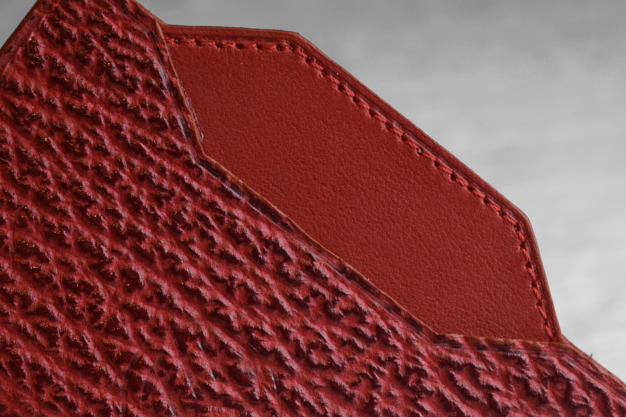 L’Ébène – Cuir de requin – Image 4